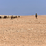 De camino al Atlas. Marruecos