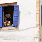 Ciudad de Fez. Marruecos
