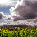 Lekumberri. Navarra